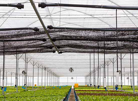 Agri_Application_1_8dca92ecbc